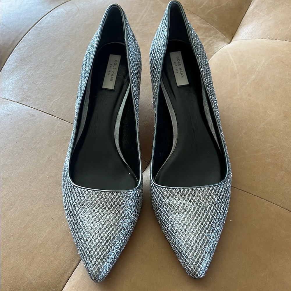 Cole Haan Silver Sparkle Bradshaw Pointed High Heel Pump